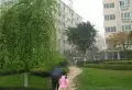 宝光天竺苑小区图片3