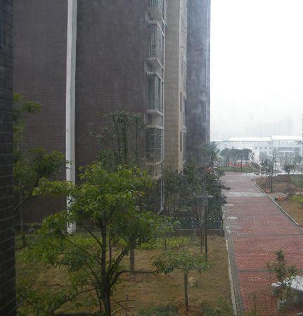 星雨心苑小区图片