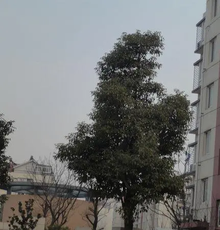 古运北苑-广陵区城东观潮路曲江公园向北