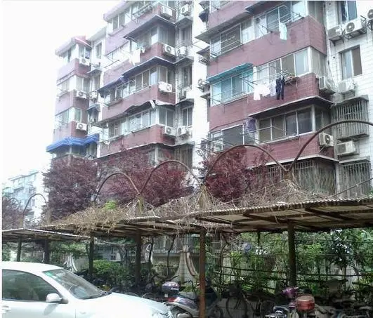 凤凰花园城金陵园小区图片23