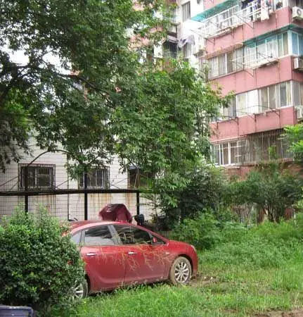 凤凰花园城金陵园小区图片12