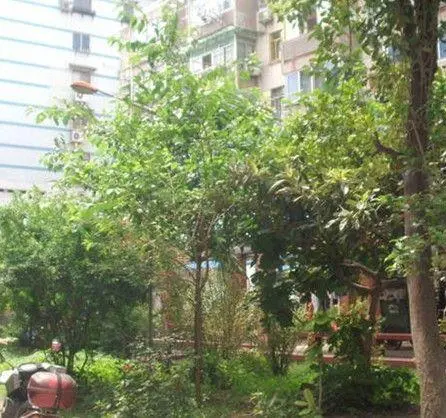 新牡丹里小区图片7