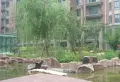 绿地老街三期小区图片4