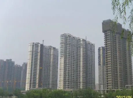 紫金风景线-洛龙区开元湖兴洛东街东