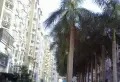 权晖花园小区图片6