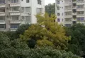 香溪庄小区图片17
