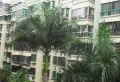 中珠幸福时光小区图片3