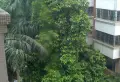 华宁花园小区图片8