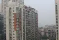 曙光大邸小区图片4