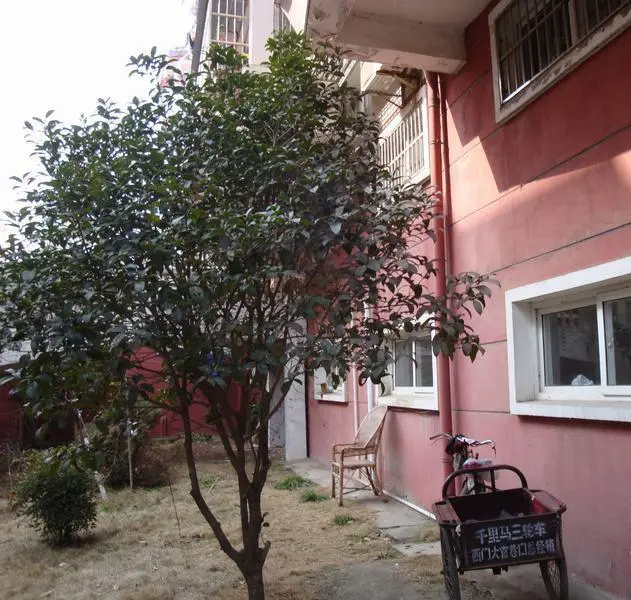 聚龙花园小区图片28