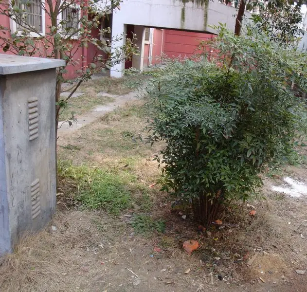 聚龙花园小区图片39