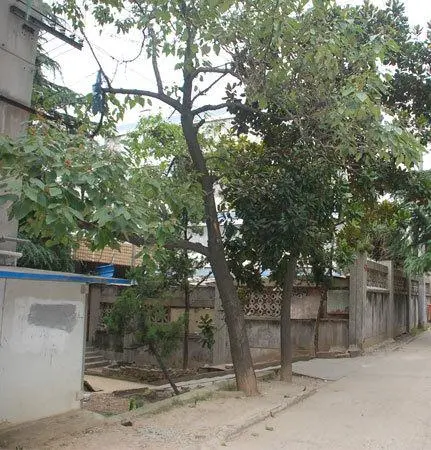 曹后村小区小区图片1