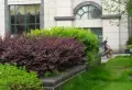 威尔士春天小区图片31