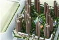 威尔士春天小区图片17