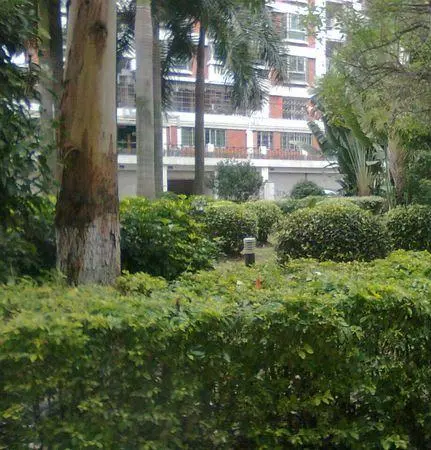 旭日海湾二期-海沧区滨海社区湖滨东路512号