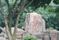 厦航高郡小区图片9