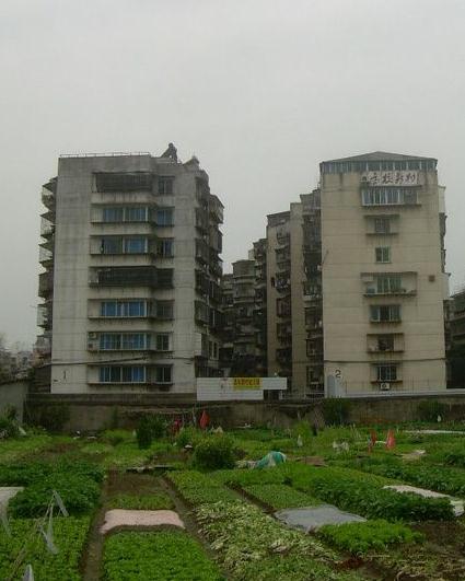 高校新村小区图片