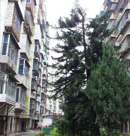 万安新村小区图片10