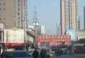 文景观园小区图片14