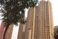 四建美林苑小区图片10