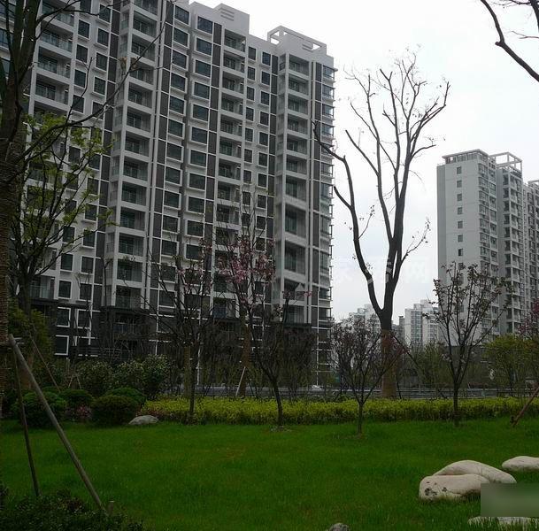丰乐世纪公寓小区图片