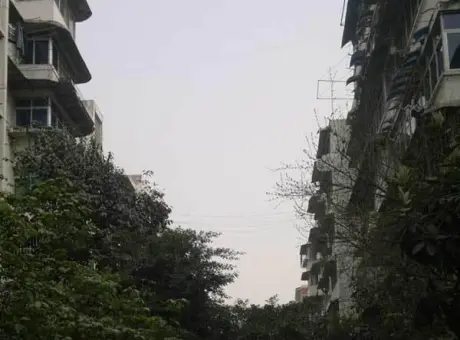 金秋花园-旌阳区鼎虹市场泰山南路二段77号附1号