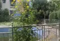 丽阳天下小区图片3