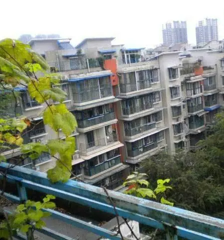 丽阳天下-旌阳区鼎虹市场泰山南路二段256号