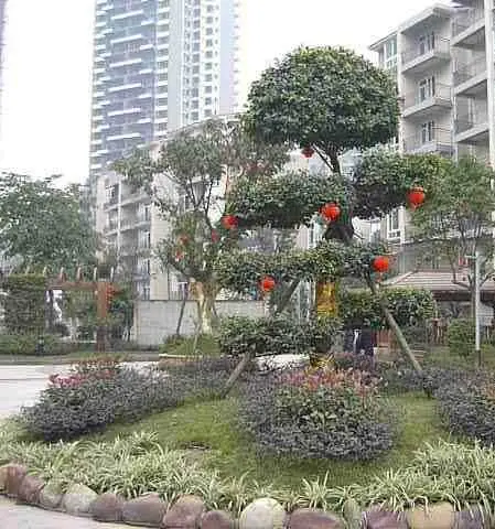 怡和明苑-江阳区城西龙驰路1号
