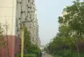 京东小区G区小区图片24