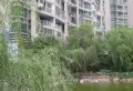 象湖源小区图片10