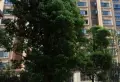 溪湖春天小区图片6
