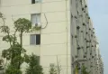 京东小区G区小区图片23