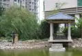 象湖源小区图片12