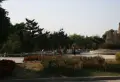 平安象湖风情小区图片22