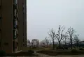 龙江花园小区图片8