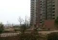 龙江花园小区图片18