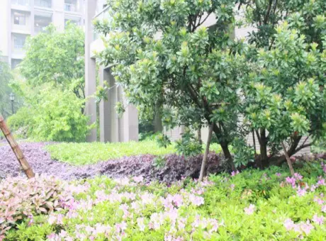 地大橡树园-弋江区大学城大工山路与滨江大道交汇处向东