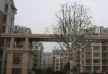 星竹花园小区图片2