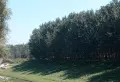挪威de森林小区图片48