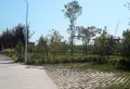 挪威de森林小区图片10