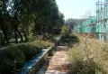 挪威de森林小区图片39
