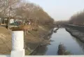 挪威de森林小区图片78