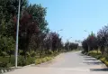 挪威de森林小区图片11