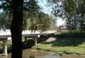 挪威de森林小区图片41