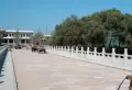 挪威de森林小区图片29