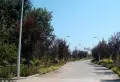 挪威de森林小区图片12