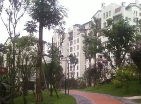 同心花园-九龙坡区高新区车管所附近