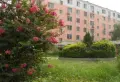 迎福苑小区图片12