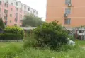 迎福苑小区图片6